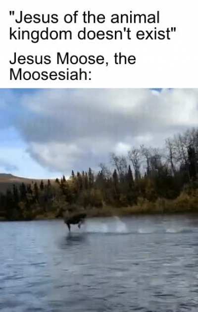 And on this day a new religion was formed