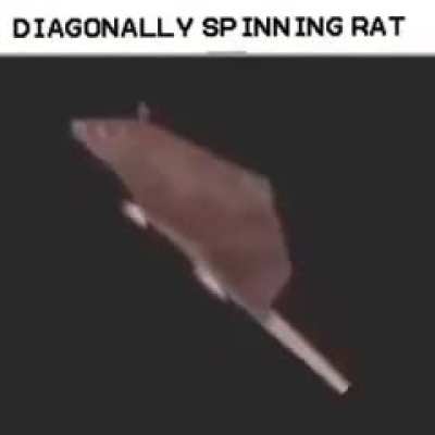////