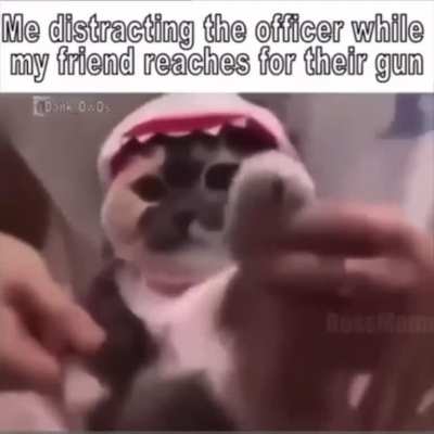 Gun