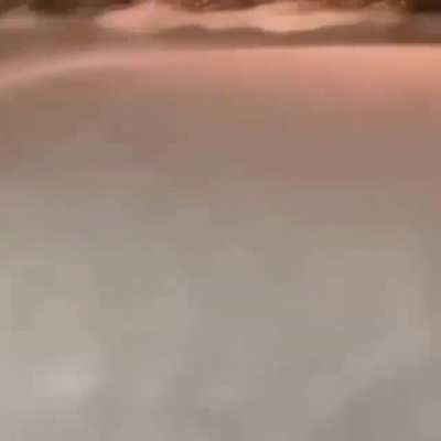 When a NPC get reset