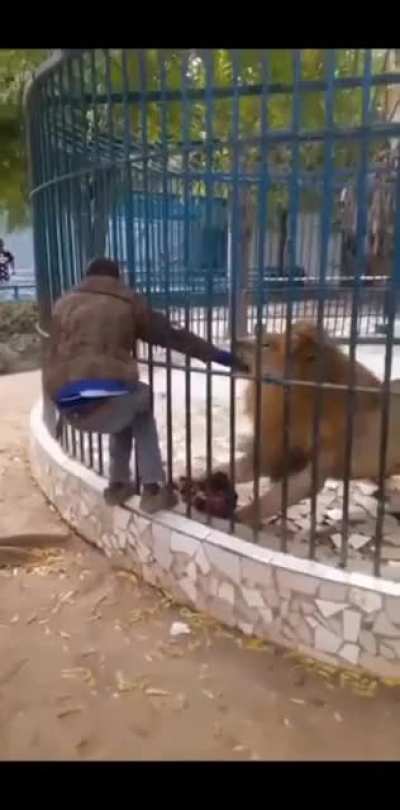 Да хули будет, поглажу только