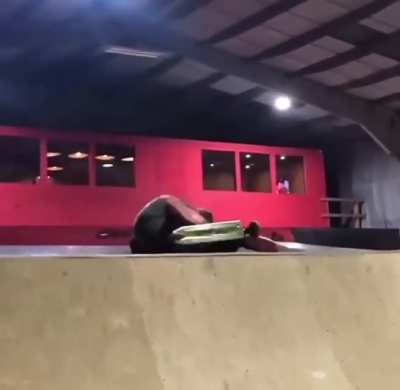 Looked like a good run at first