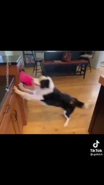 Dogo has a favorite song