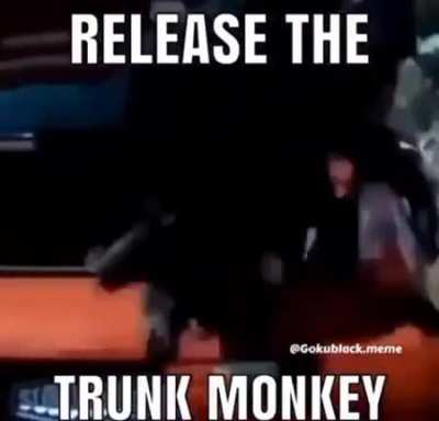 TRUNK MONKE