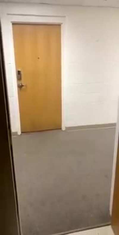 Little duck chases students