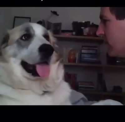 Don't stare me for too long you hooman