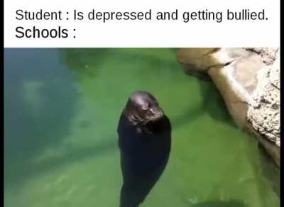 Happy seal noises.