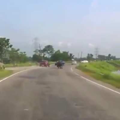 Rhino rampaging on a road in India