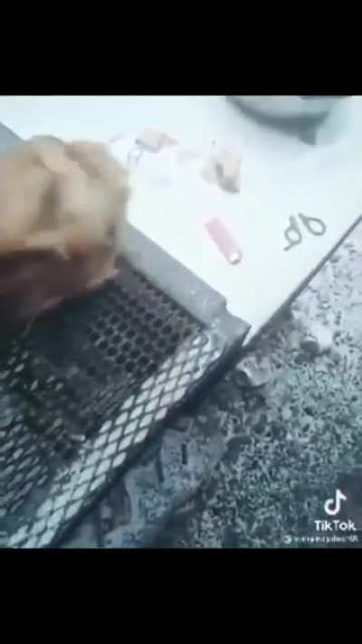 XD