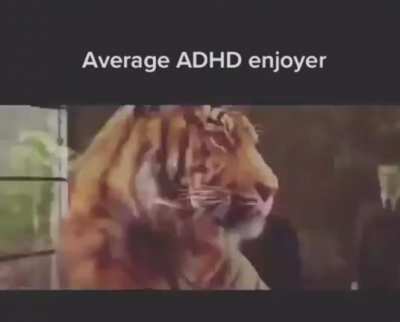 rule