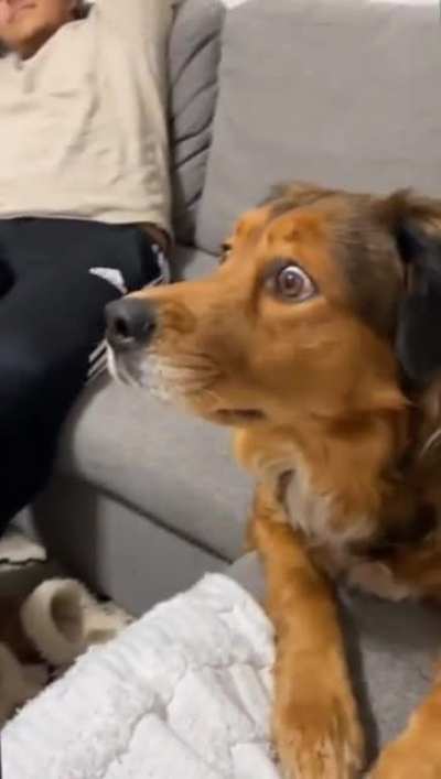 ***