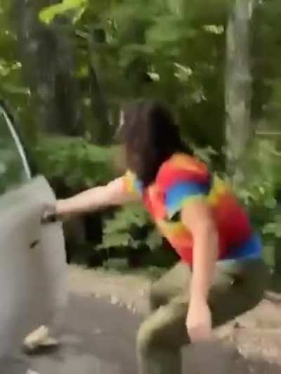 Something is in the car
