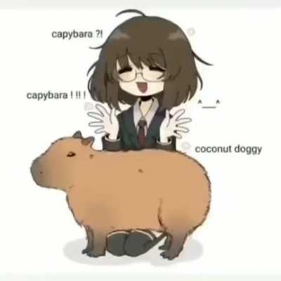🦫