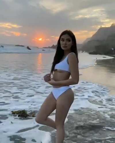 Brighton Sharbino