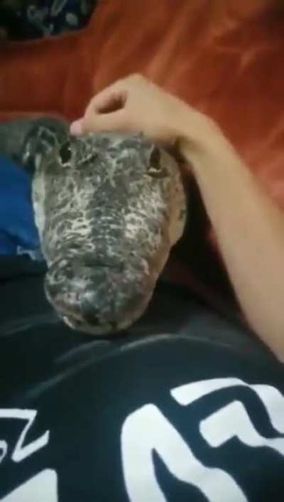Friend