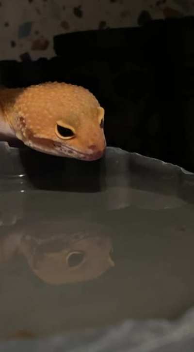 She’s 100% Getting a Good Drink of Water