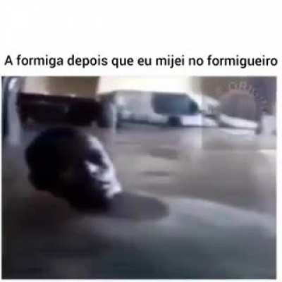 Analise