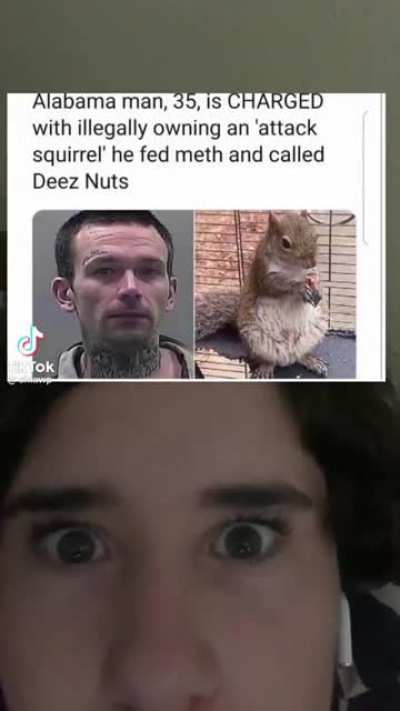 Lol this had me dead