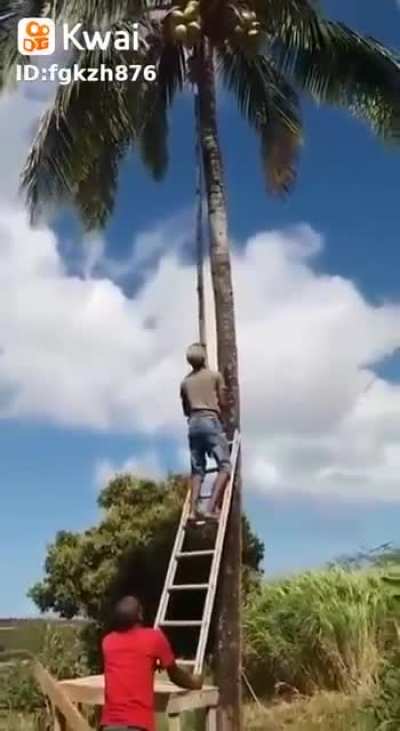 Segura aí!