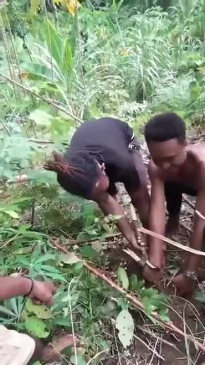 TakTerduga