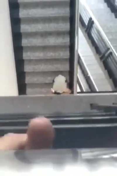 This must be the nastiest guy in the world [NSFW]