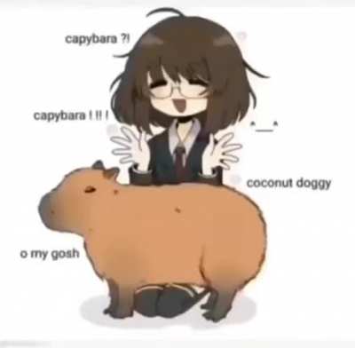 Coconut doggy