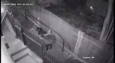 3 seconds late and you're dead