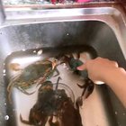 Eenie meenie miney NO!