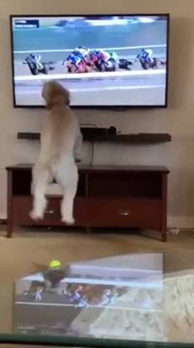 Jumpy Jumps