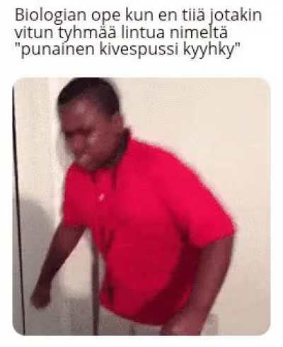 mina👍irl