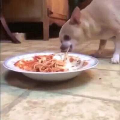 what is the worst person on this sub (gif not related)