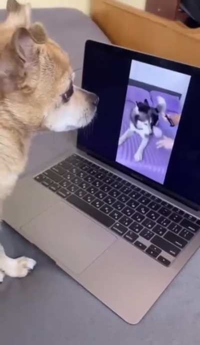 I'll have a hand with that