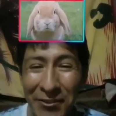 Momento Perú.