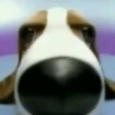 doggo...?
