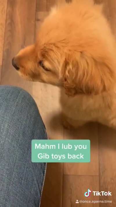 Expectations - Keep begging for toys Reality - Steal mahms shoeeeeee [OC]