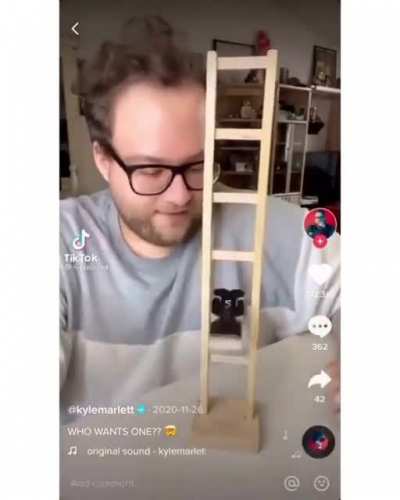 cat ladder