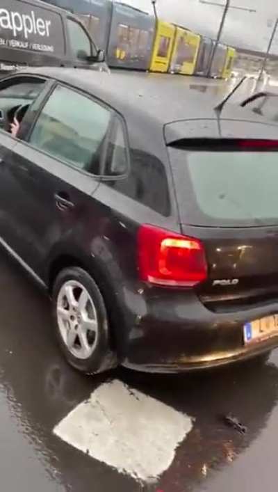 Stupidity 100