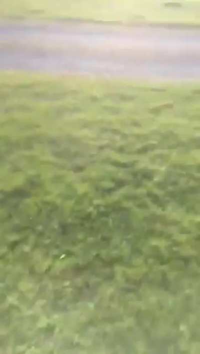 Legend says he is still running