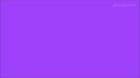noon on Twitter, twitch comunista descoberta