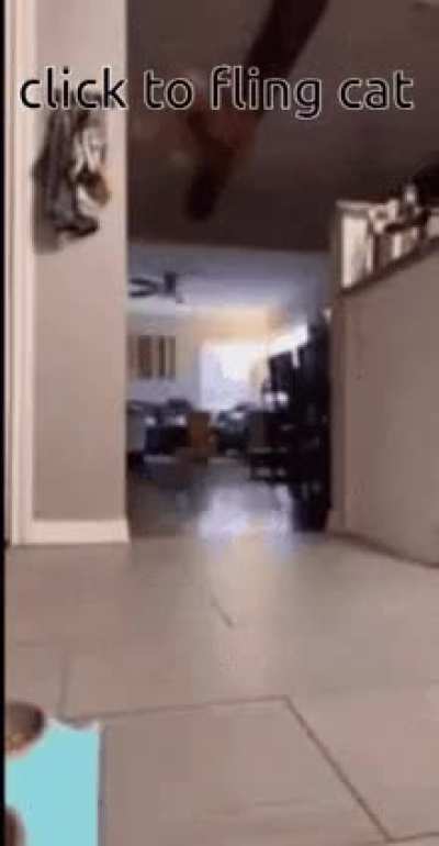 Click to fling