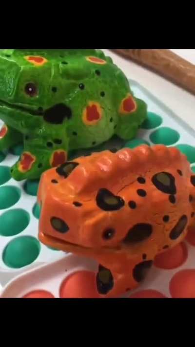 Sound of frogs🐸
