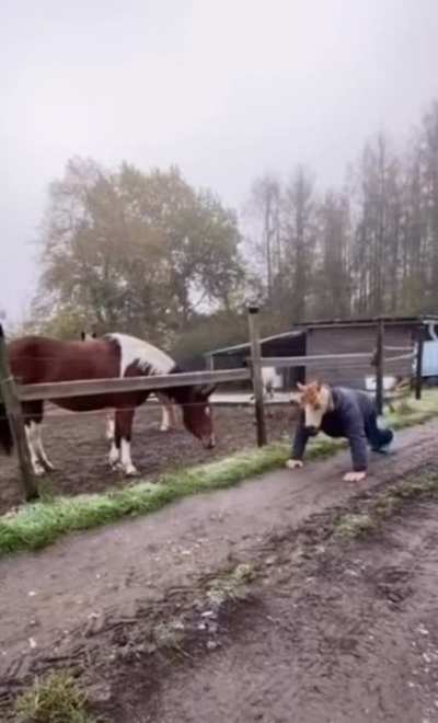 The horse is a little concerned.