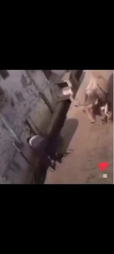 Bro did a little prank