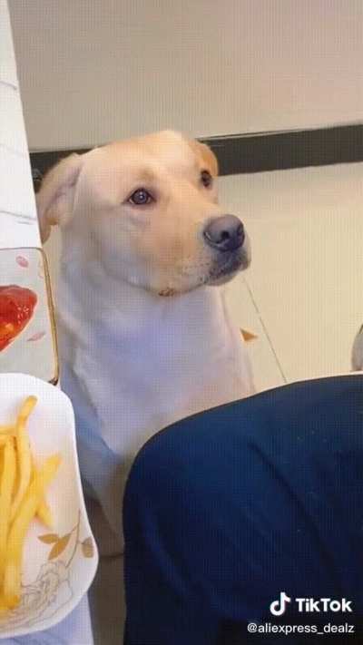 He won't eat it without ketchup