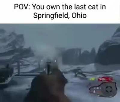 Springfield