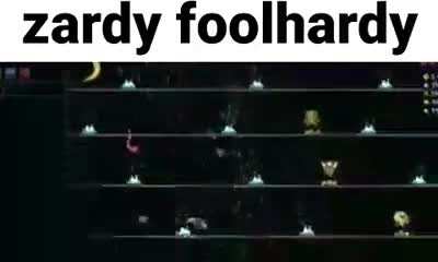 Zardy Foolhardy in Terraria??!?!?!