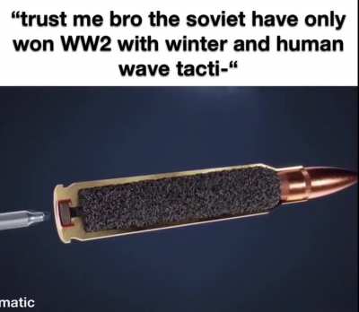 smh imagine falling to western propaganda