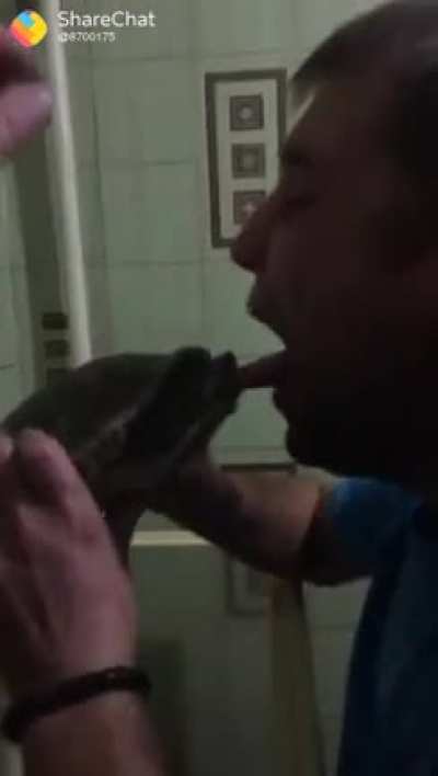 Putting your mouth over a turtles head
