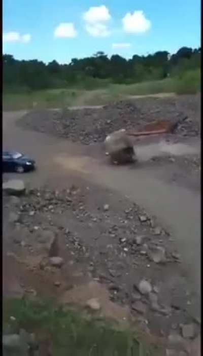 Horn beats rock