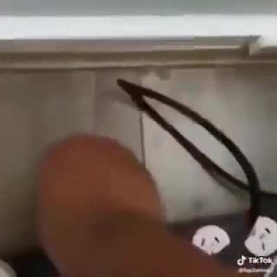 [A Good Title]